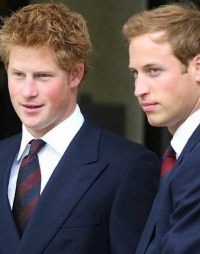 principe William 