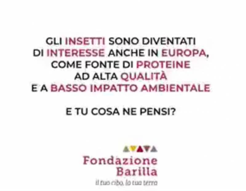 Barilla insetti nella pasta 
