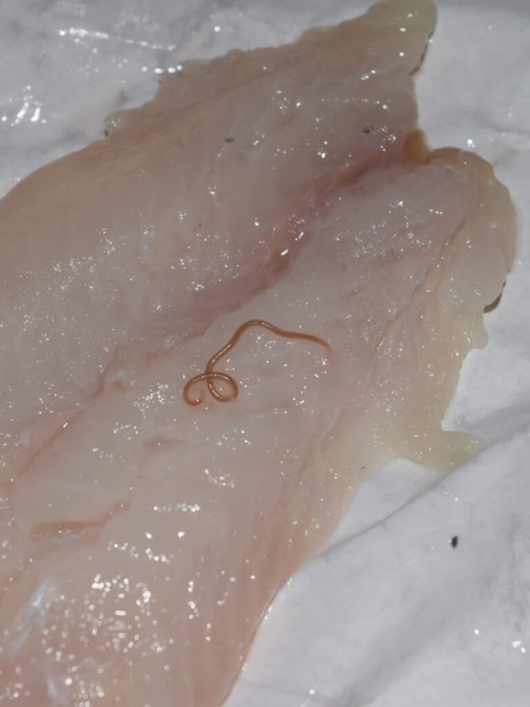 Alici marinate, non consumate questi lotti: c'è il pericolo Anisakis