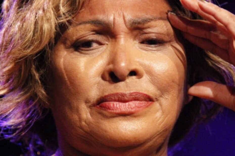 Tina Turner figlio morto