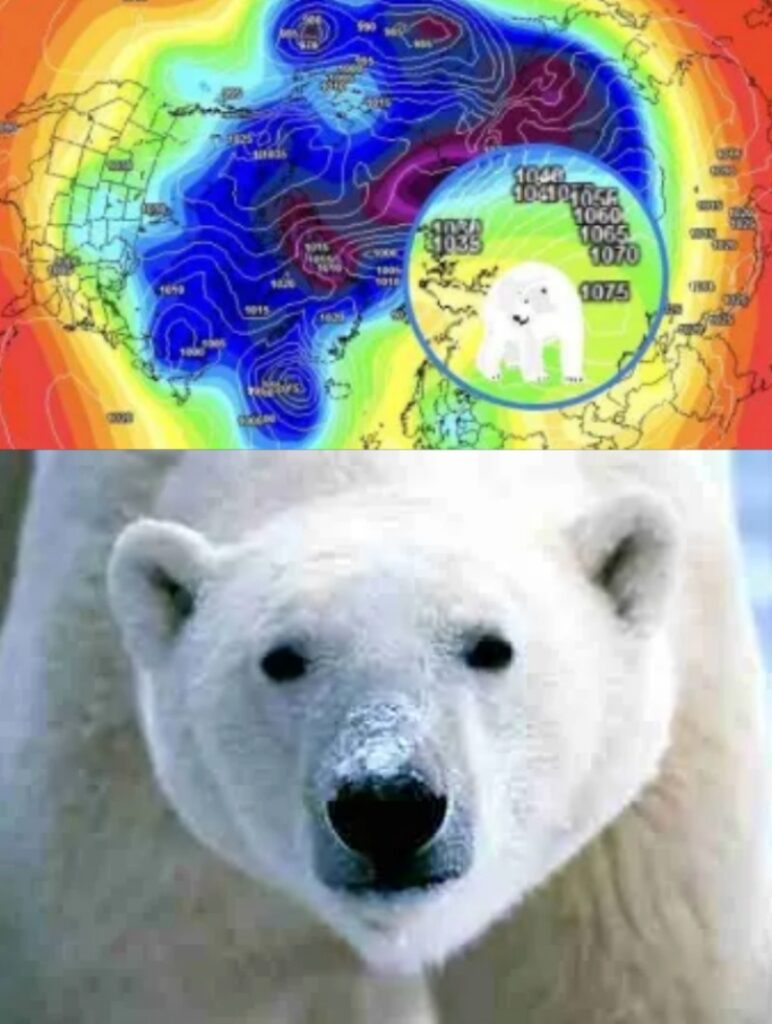 Meteo Orso Russo 