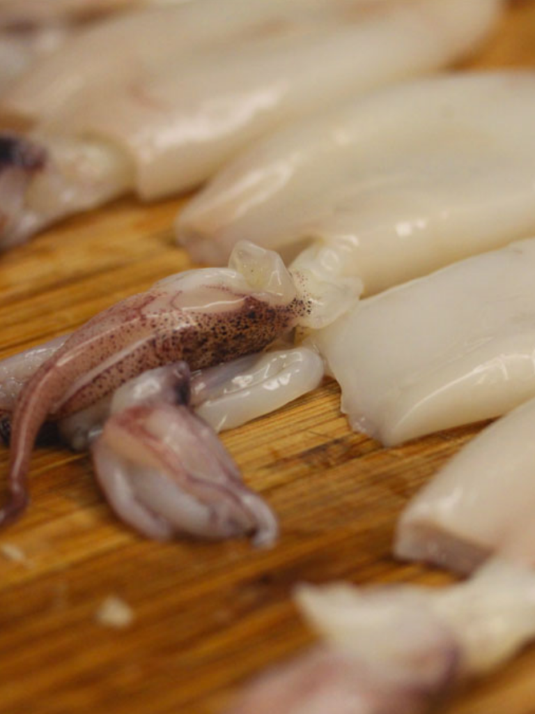 Calamari e Totani, dove vengono pescati realmente? Lo studio