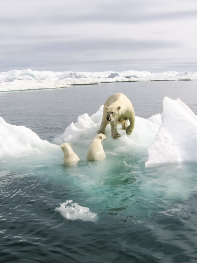 Riscaldamento globale, tagliare emissioni entro il 2030 è la priorità