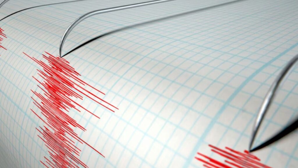 terremoto nuova zelanda