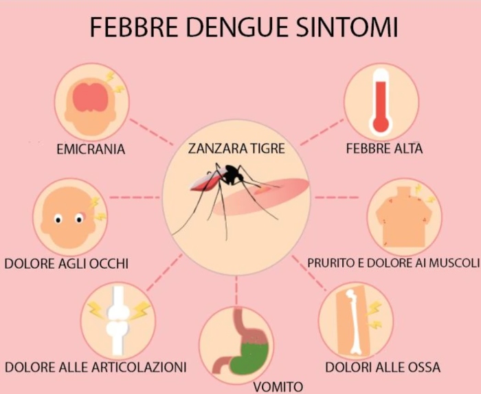 febbre