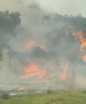 Incendio a Vieste, Baia San Felice in fiamme