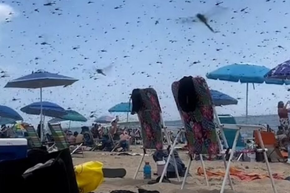 panico in spiaggia