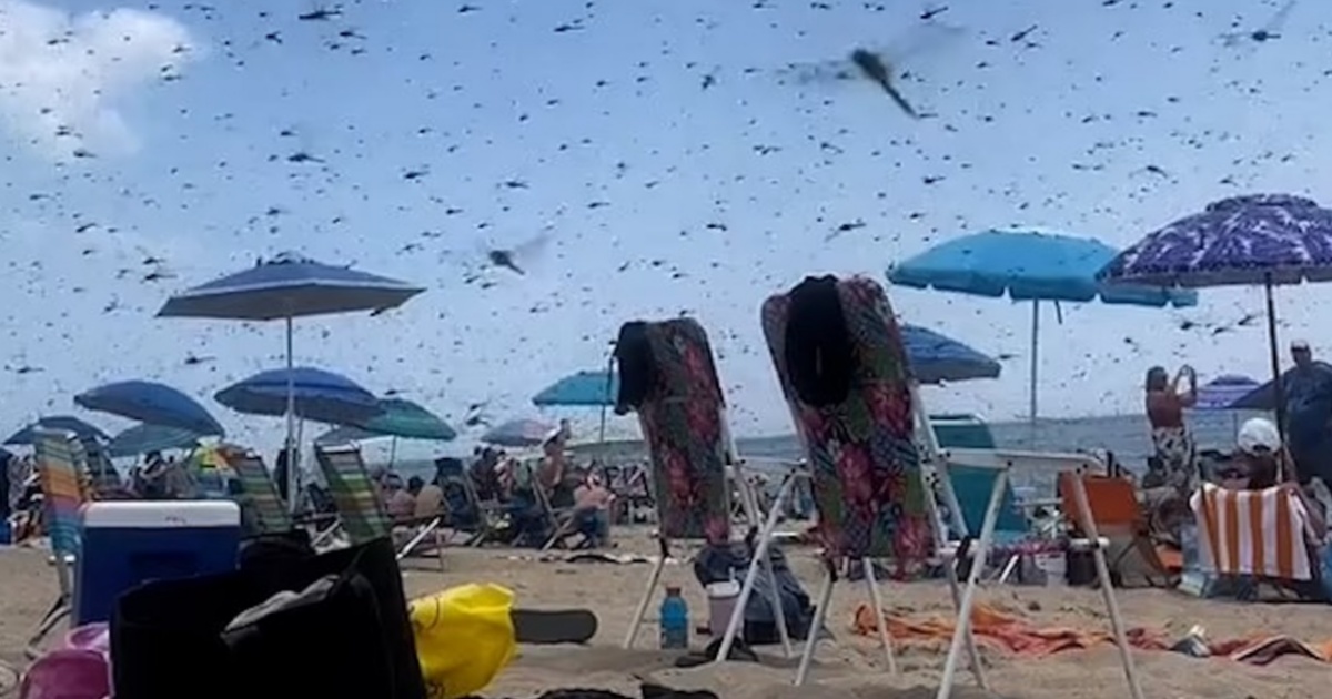 panico in spiaggia 