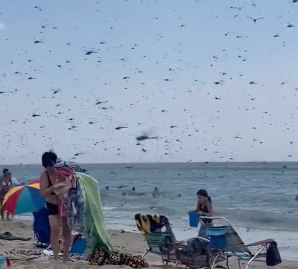 panico in spiaggia 