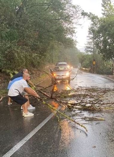 Maltempo a Roma, rami di albero caduti sulla carreggiata