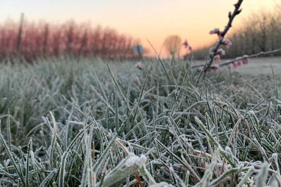 Meteo freddo polare