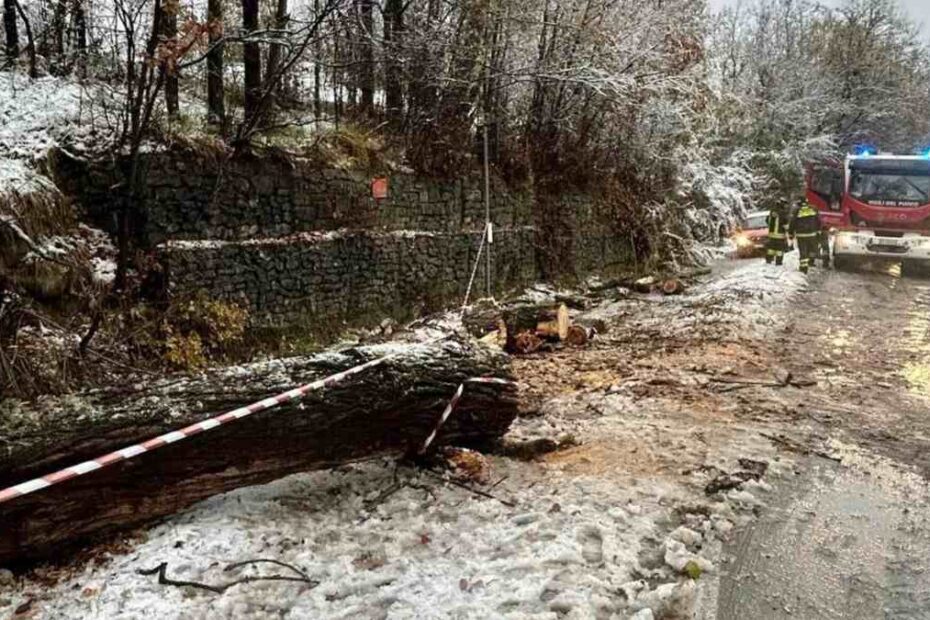 maltempo emilia romagna