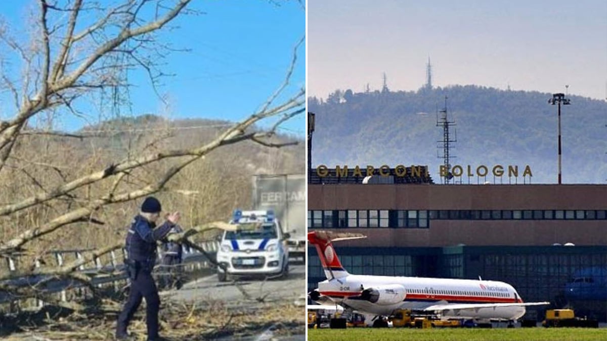 Allerta meteo a Bologna, aerei dirottati e alberi caduti per il vento: Raffiche a oltre 100km orari