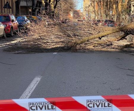 Allerta meteo a Bologna, alberi caduti per il vento: "Raffiche a oltre 100km orari"