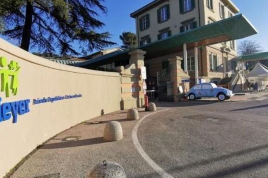 bimbo azzannato dal cane