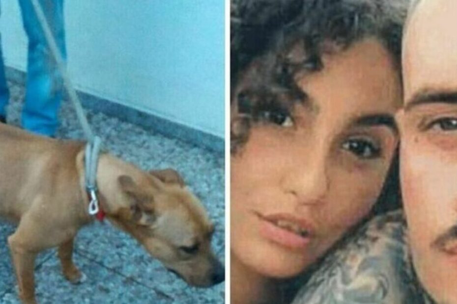 giulia loffredo ultime notizie