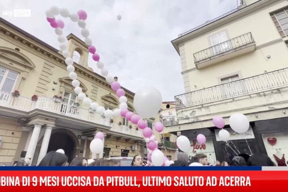 giulia uccisa dal pitbull