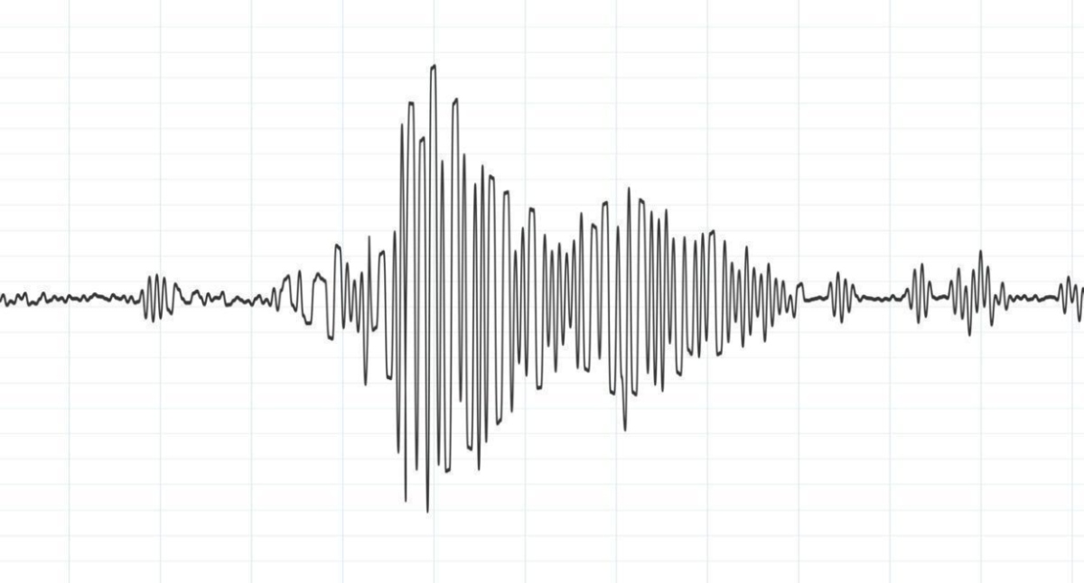 Terremoto in Italia, scossa di magnitudo 4,6: la telecamera riprende la terra che trema (VIDEO)