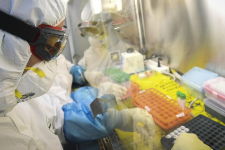 Pandemia aviaria