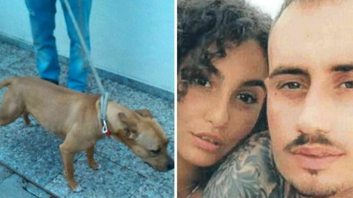 Giulia sbranata pitbull canile
