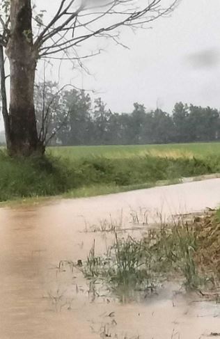 maltempo, allagamenti a Castelverde