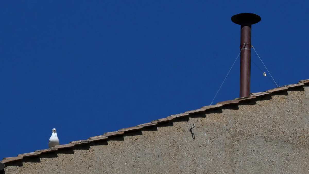 Conclave, poco fa l’esito della prima fumata da tvzap.it Conclave, poco fa l’esito della prima fumata