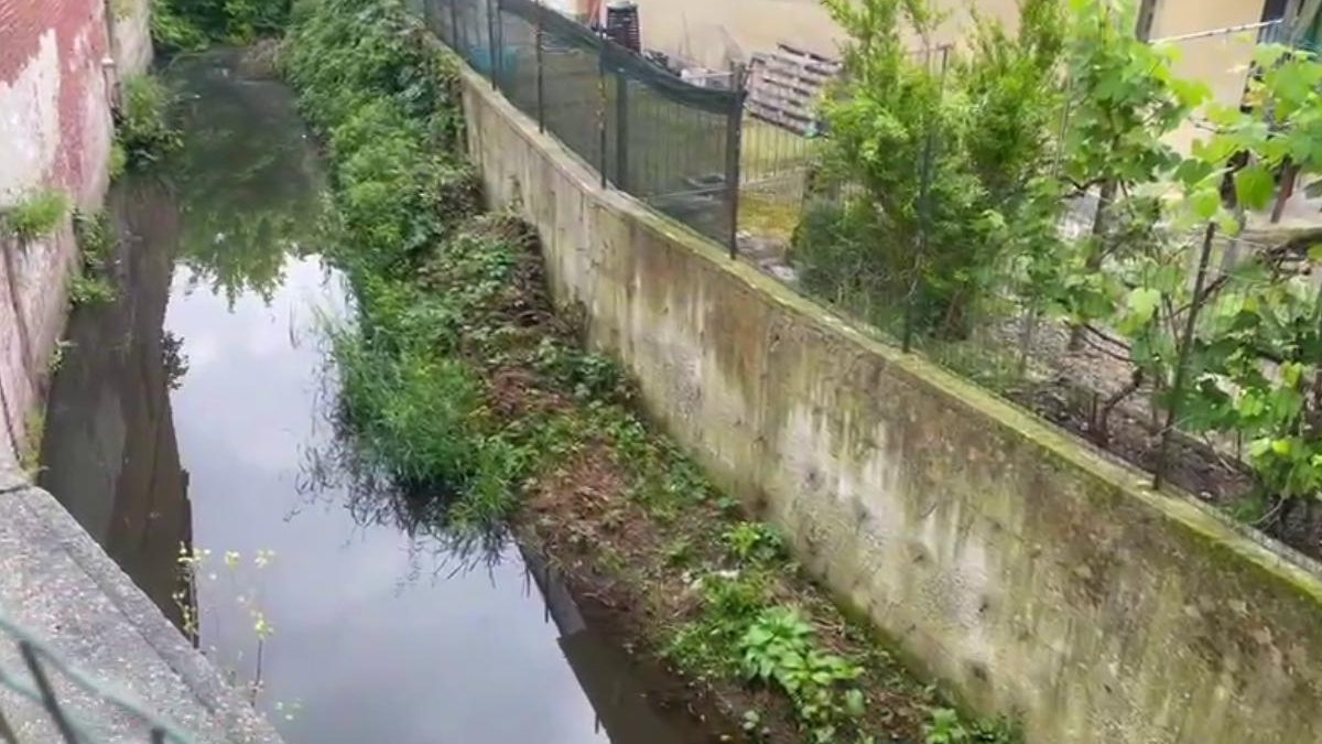 Garlasco, altro ritrovamento nel canale: di che cosa si tratta Garlasco, altro ritrovamento nel canale: di che cosa si tratta