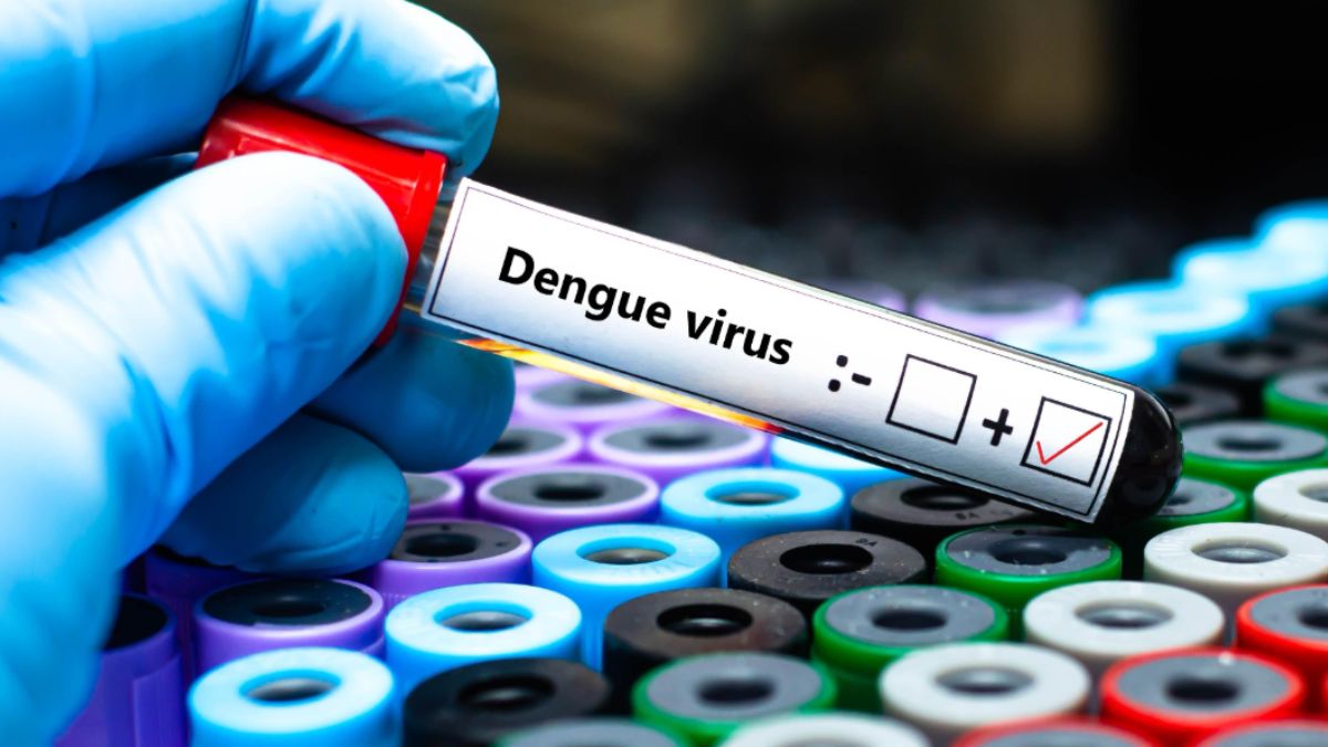 dengue torna allarme italia