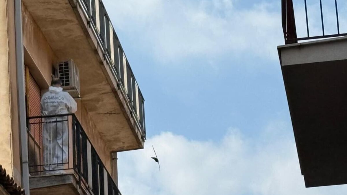 Annamaria lancia la figlia neonata dal balcone: cosa ha fatto l’altro figlio di 7 anni Annamaria lancia la figlia neonata dal balcone: cosa ha fatto l’altro figlio di 7 anni