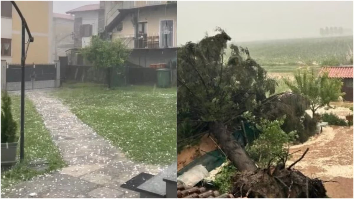 Maltempo: temporali, grandine e vento fino a 85 km/h. Allagamenti e alberi caduti Maltempo: temporali, grandine e vento fino a 85 km/h. Allagamenti e alberi caduti