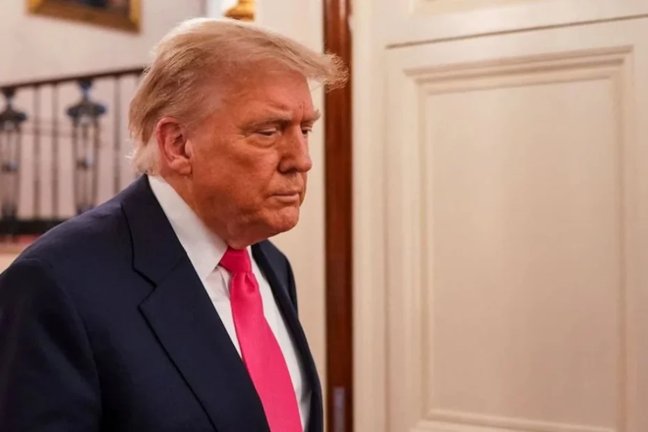 trump giornalista