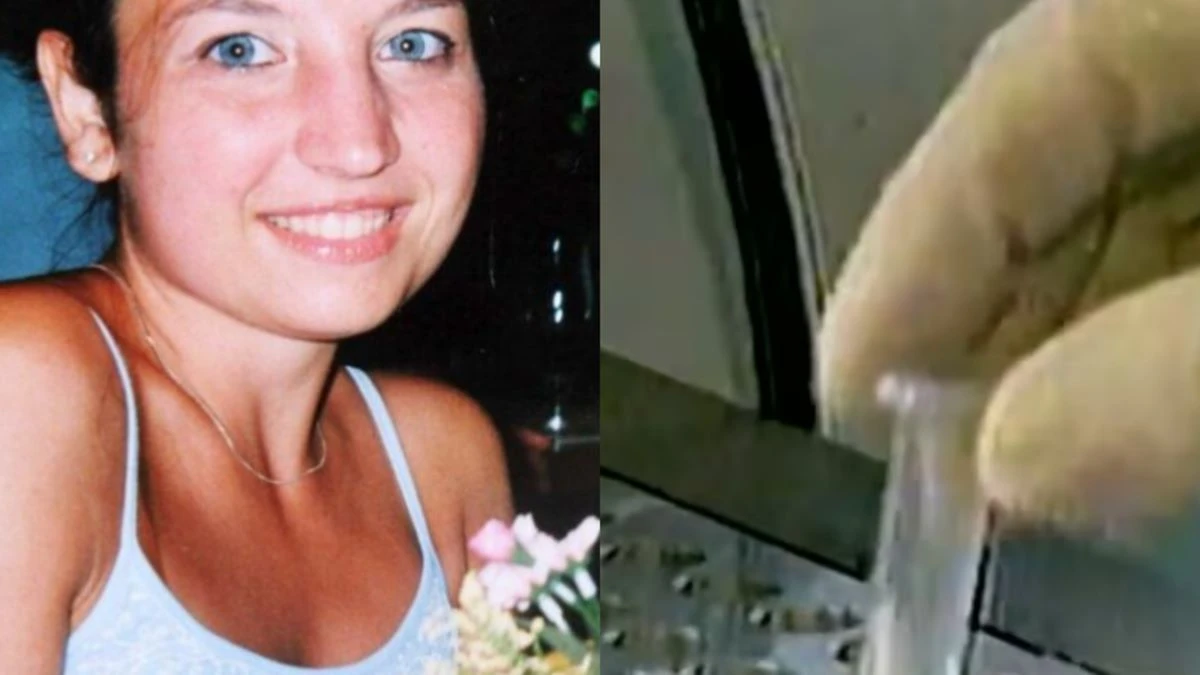 Garlasco, svolta inattesa nel caso: chi è pronto a dare il proprio Dna Garlasco, svolta inattesa nel caso: chi è pronto a dare il proprio Dna