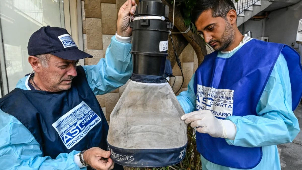 west nile aumentano casi e morti come difendersi