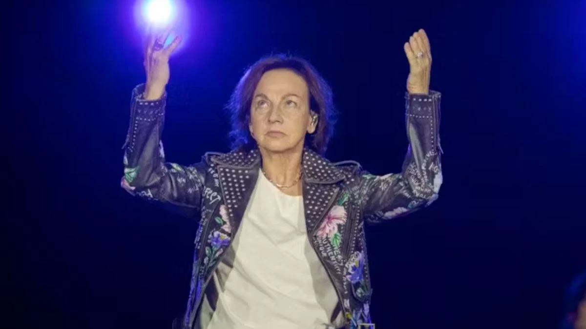 gianna nannini incidente durante il concerto come sta