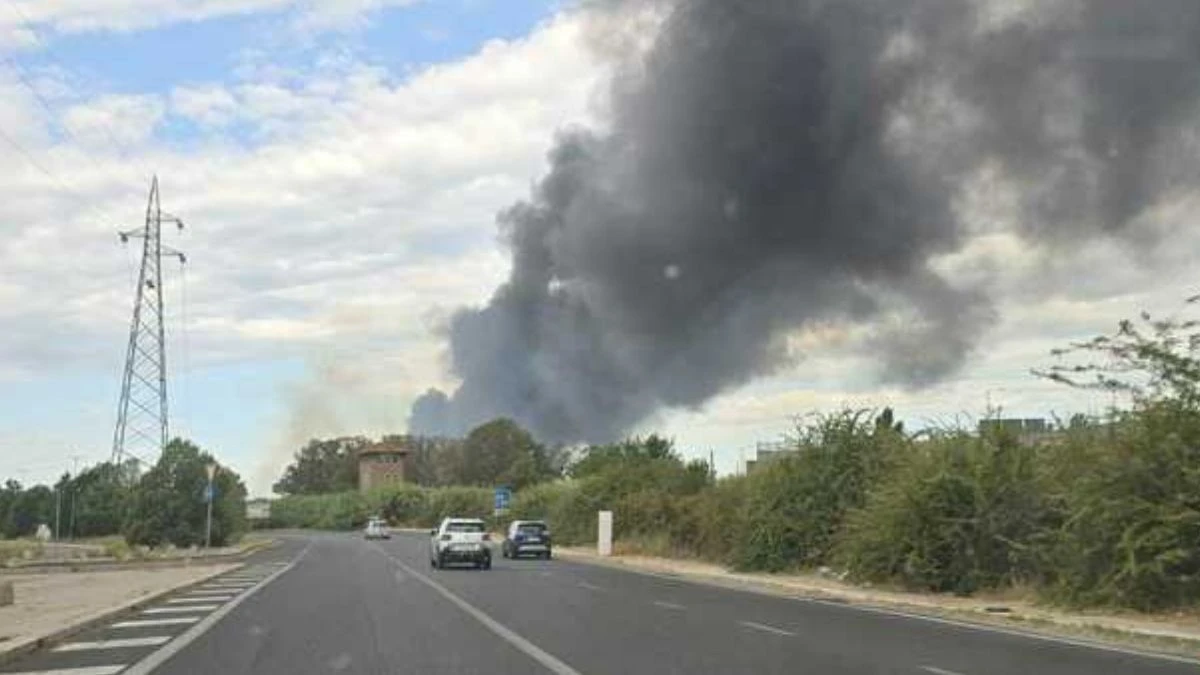 Fiamme e fumo vicino all’aeroporto in Italia: scoppia il caos Fiamme e fumo vicino all’aeroporto in Italia: scoppia il caos