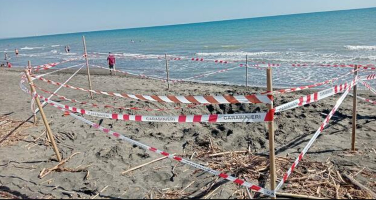 Riccardo sepolto dalla sabbia, il padre rompe il silenzio: parole strazianti Riccardo sepolto dalla sabbia, il padre rompe il silenzio: parole strazianti