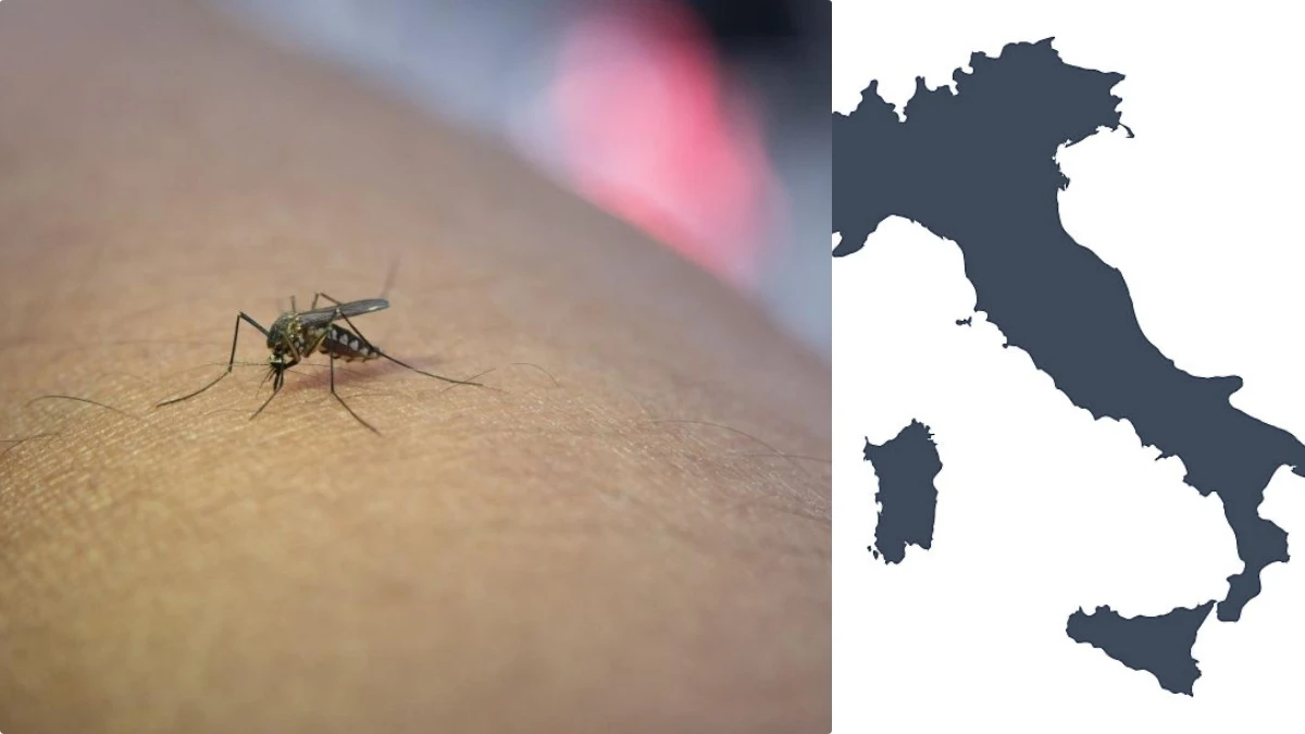 virus west nile le regioni italiane che preoccupano di pi249 arriva la stretta