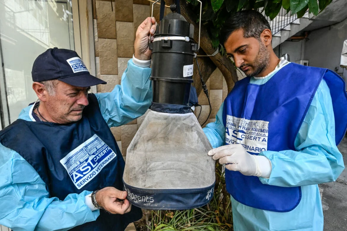 West Nile Italia disinfestazioni