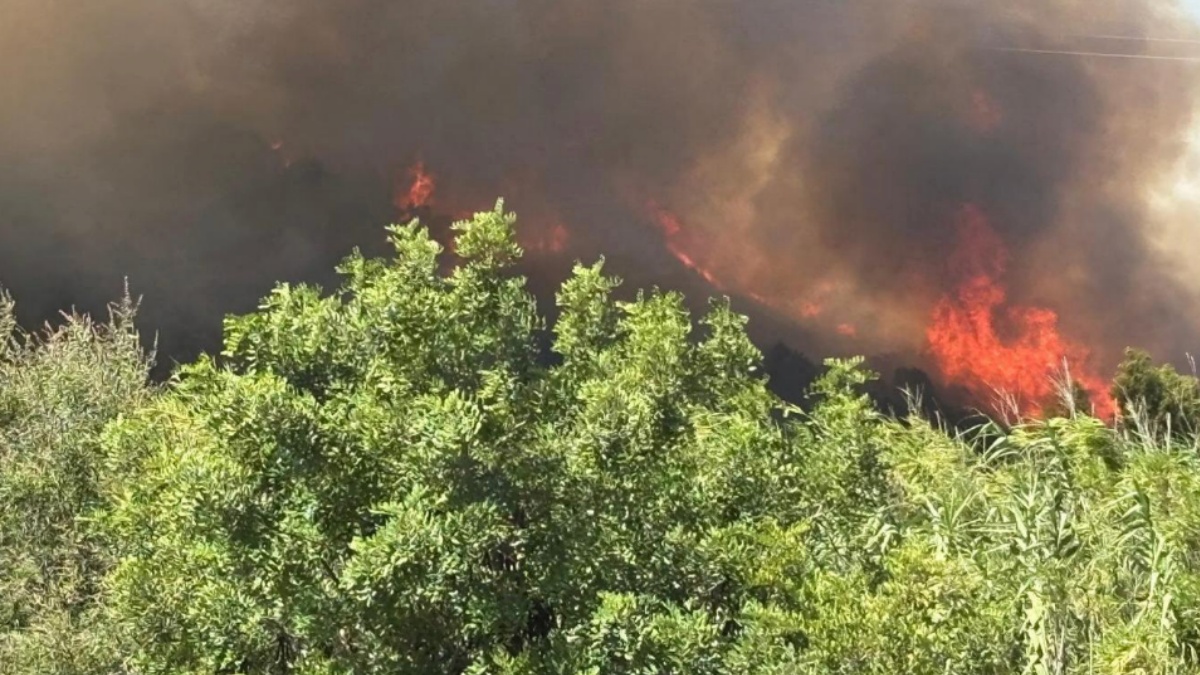 maxi incendio in italia evacuate case e resort cresce la tensione