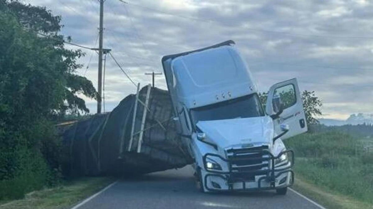 tir si ribalta sulla carreggiata in fuga 14 milioni di api
