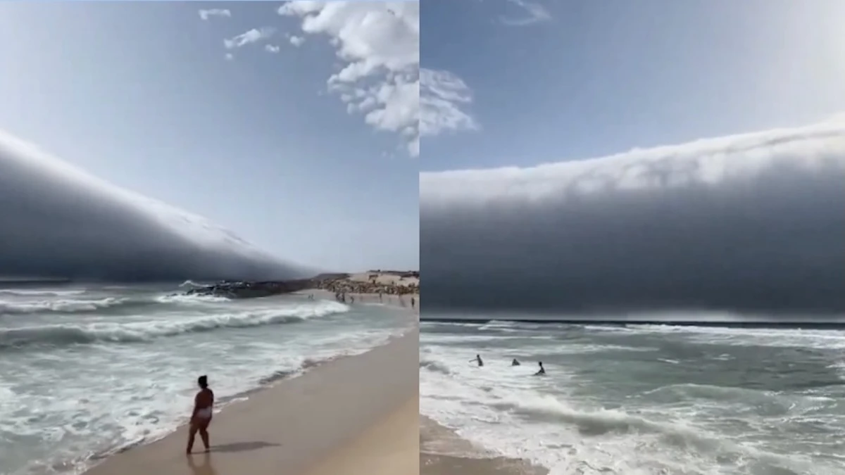 Choc in spiaggia, scatta il fuggi fuggi dei bagnanti: cos’è successo (VIDEO) Choc in spiaggia, scatta il fuggi fuggi dei bagnanti: cos’è successo (VIDEO)