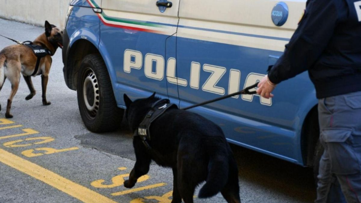 Bimbo di 5 anni scompare in un campeggio, ricerche disperate: l’ultimo avvistamento Bimbo di 5 anni scompare in un campeggio, ricerche disperate: l’ultimo avvistamento