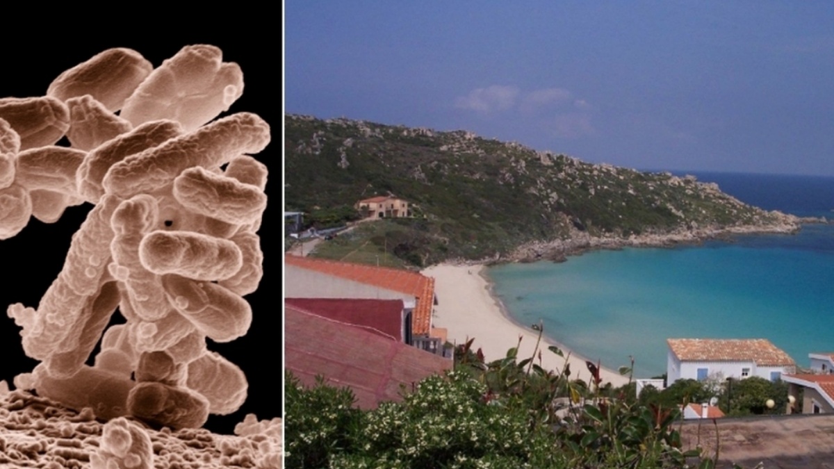 Escherichia Coli in Italia, scatta il divieto di balneazione: ecco dove