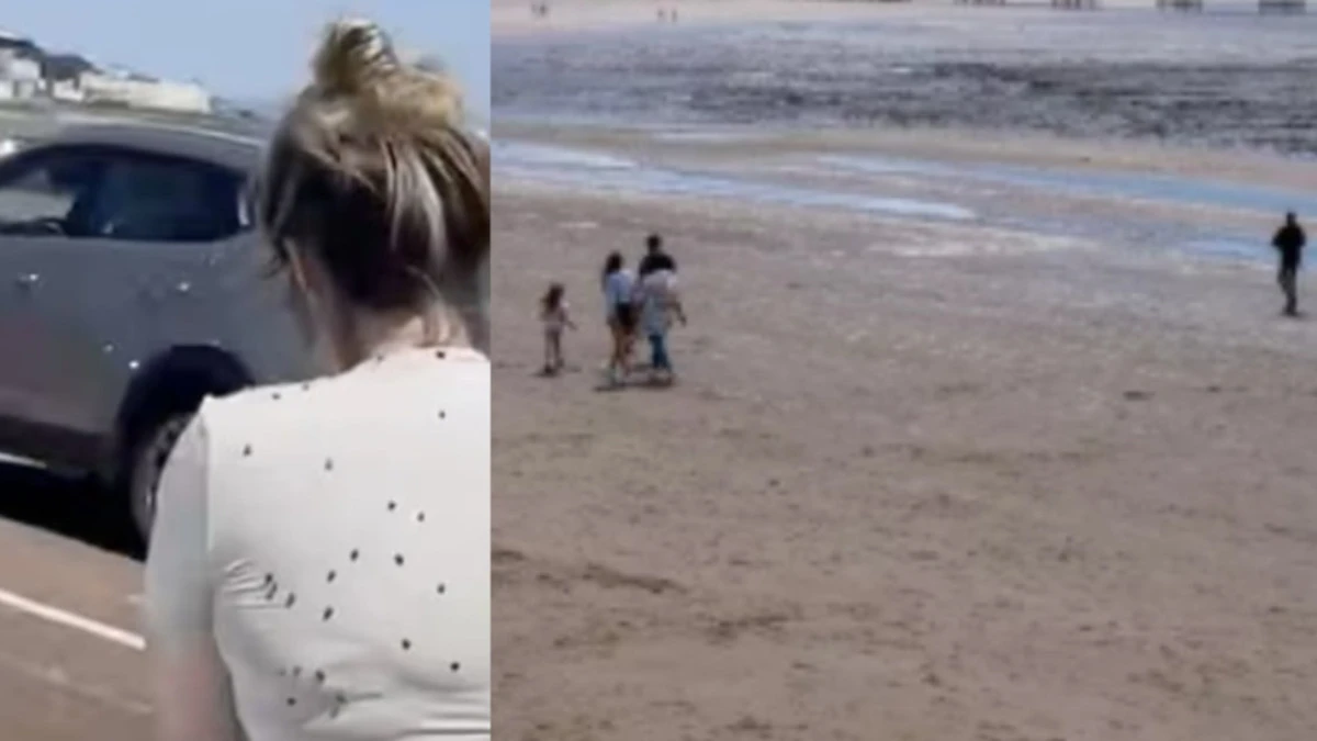 spiacevole invasione in spiaggia bagnanti in fuga cos8217232 successo video