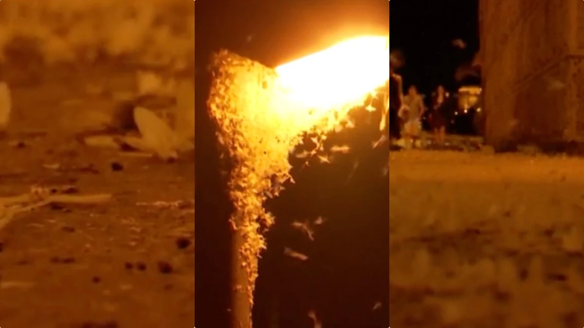 “Siamo invasi”: emergono a milioni dal fiume, ecco cosa e perché (VIDEO) “Siamo invasi”: emergono a milioni dal fiume, ecco cosa e perché (VIDEO)