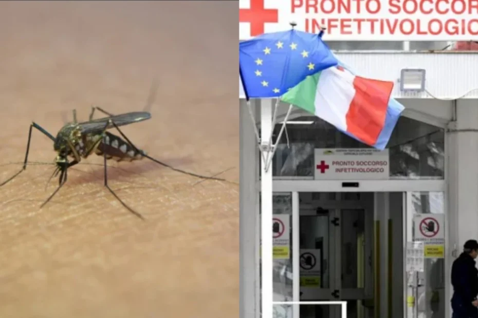 West Nile Italia focolaio