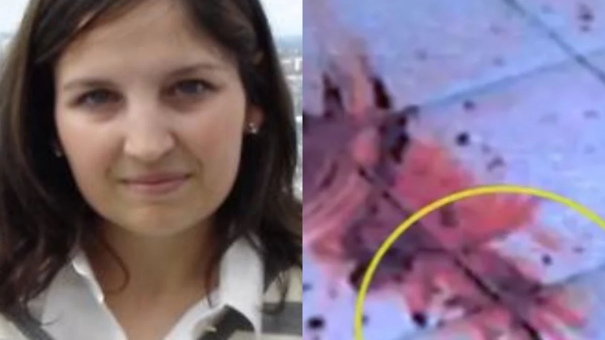 garlasco spunta la prova mai analizzata cosa si scopre