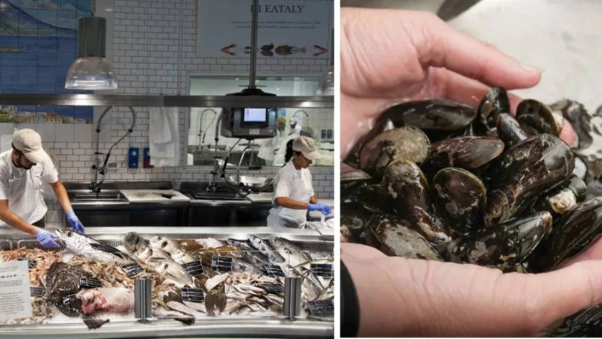 calamari cozze e vongole il trucco degli esperti per capire se sono davvero freschi