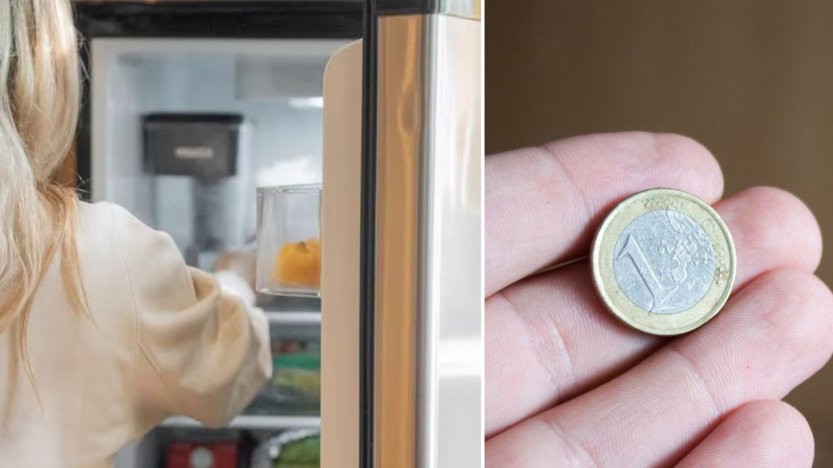 ecco perch233 dovresti lasciare una monetina in freezer prima di partire