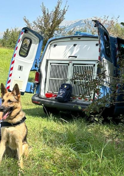 Fatto a pezzi e trovato nel bosco di Frosinone, emerge una terribile ipotesi: di chi potrebbe trattarsi